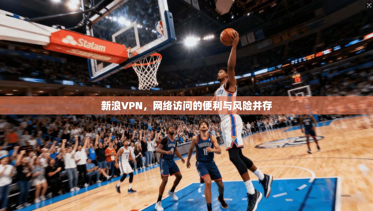 新浪VPN，网络访问的便利与风险并存