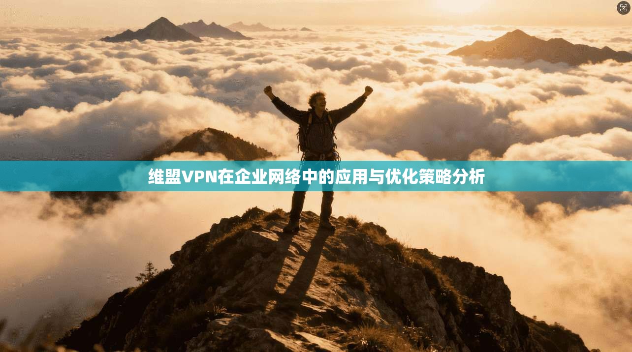 维盟VPN在企业网络中的应用与优化策略分析