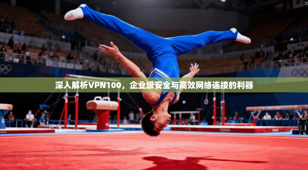 深入解析VPN100，企业级安全与高效网络连接的利器