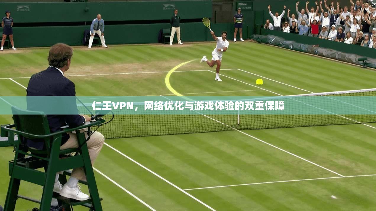 仁王VPN，网络优化与游戏体验的双重保障