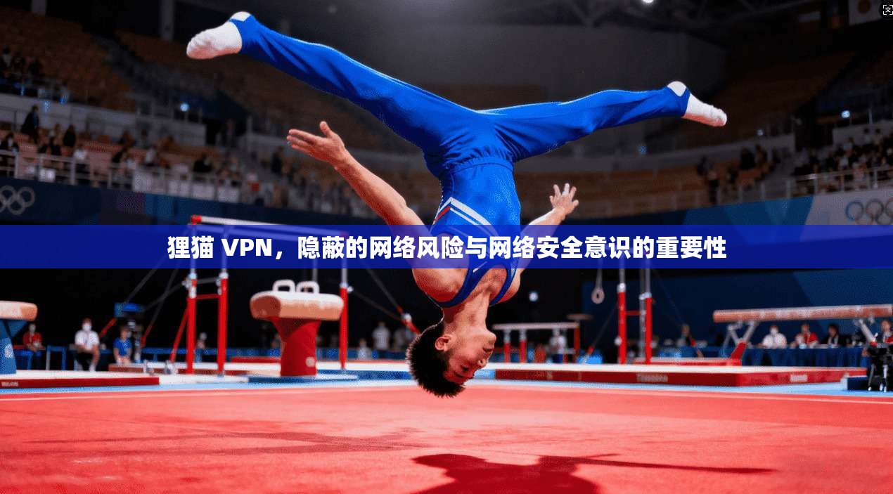狸猫 VPN，隐蔽的网络风险与网络安全意识的重要性