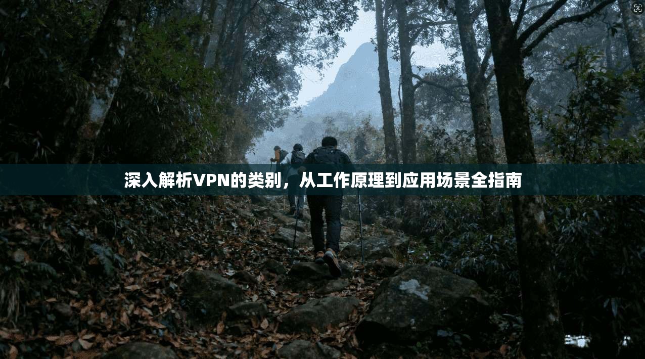深入解析VPN的类别，从工作原理到应用场景全指南