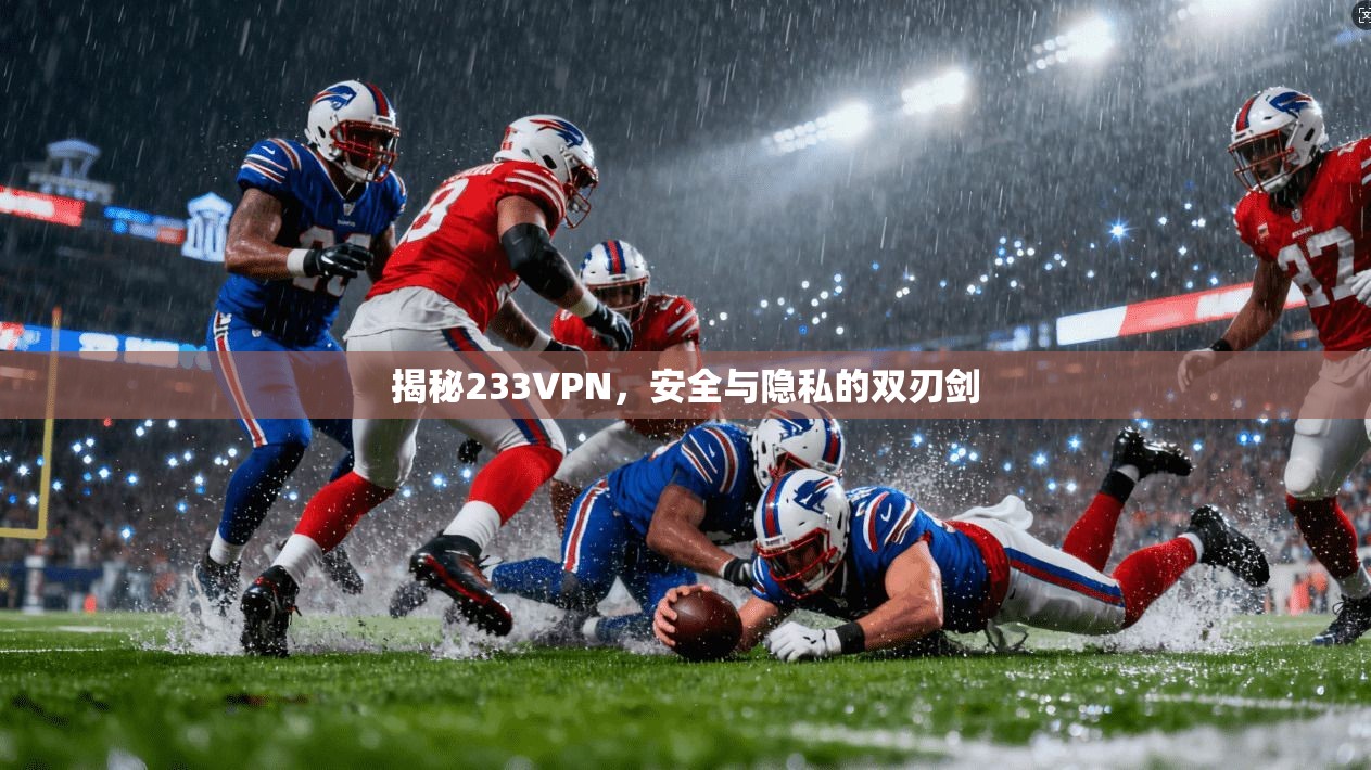 揭秘233VPN，安全与隐私的双刃剑