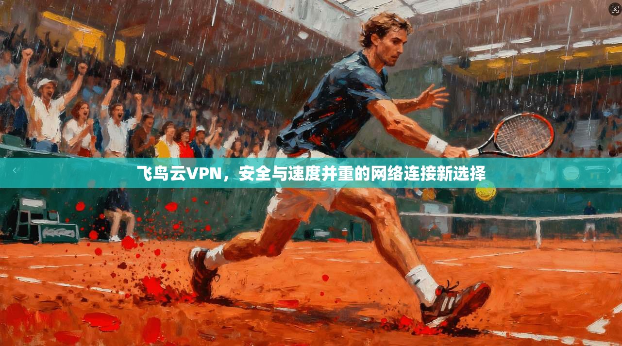 飞鸟云VPN，安全与速度并重的网络连接新选择
