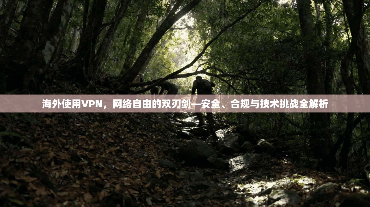 海外使用VPN，网络自由的双刃剑—安全、合规与技术挑战全解析
