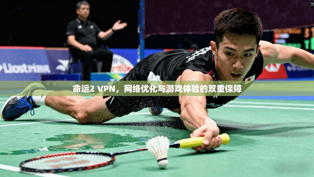 命运2 VPN，网络优化与游戏体验的双重保障
