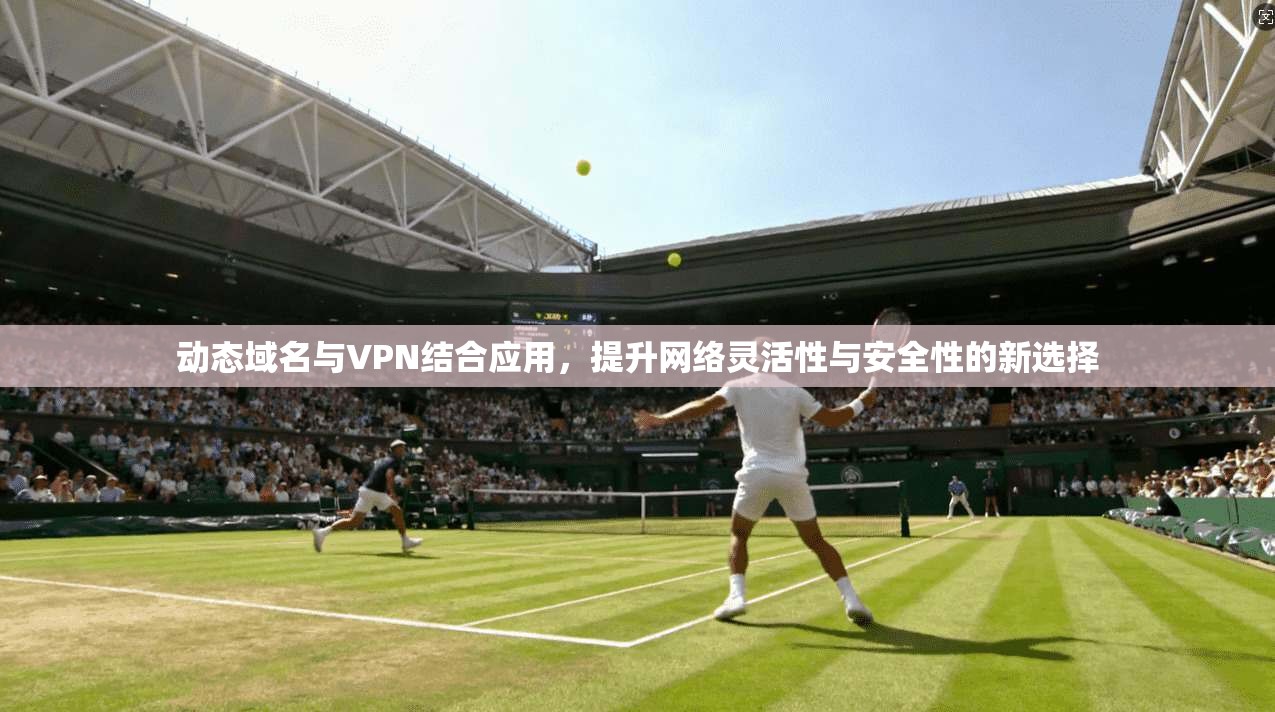 动态域名与VPN结合应用，提升网络灵活性与安全性的新选择