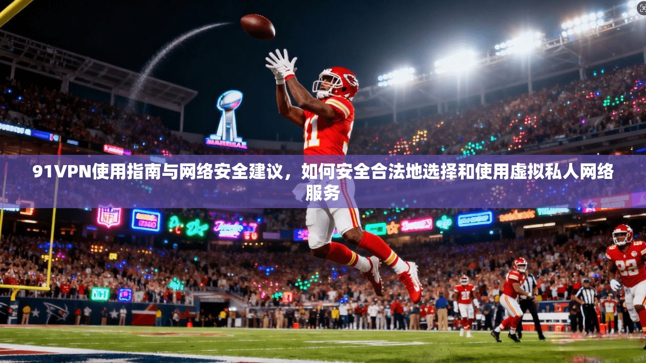 91VPN使用指南与网络安全建议，如何安全合法地选择和使用虚拟私人网络服务