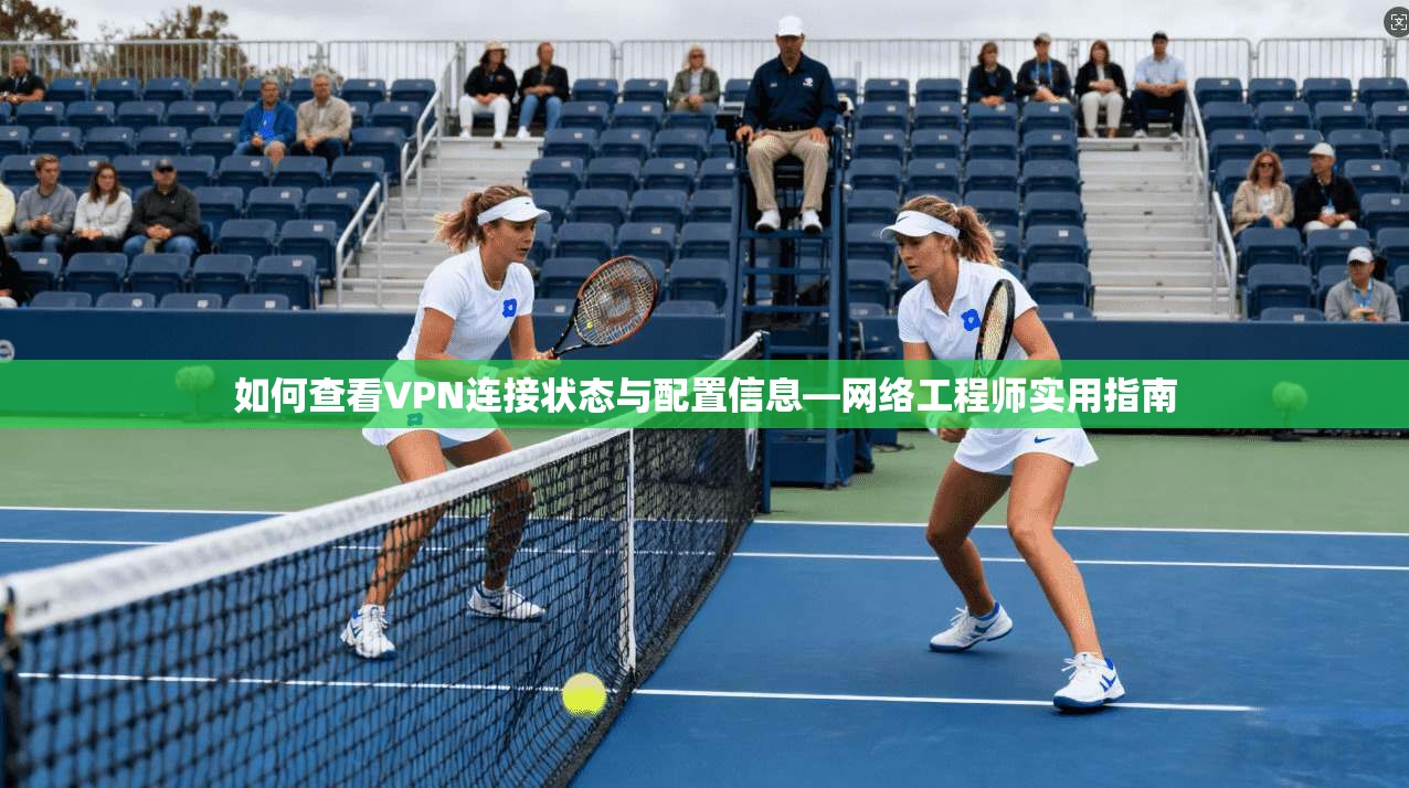 如何查看VPN连接状态与配置信息—网络工程师实用指南