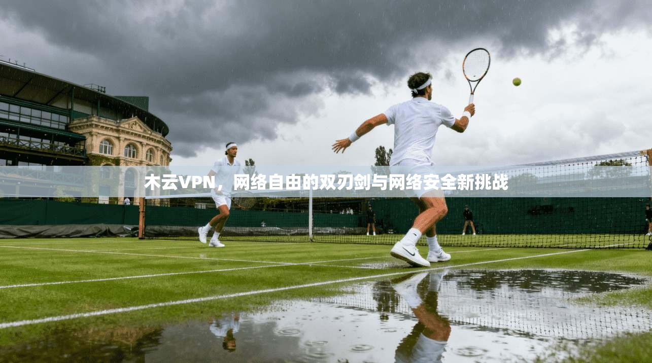 木云VPN,网络自由的双刃剑与网络安全新挑战 木云VPN,网络自由的双刃剑与网络安全新挑战