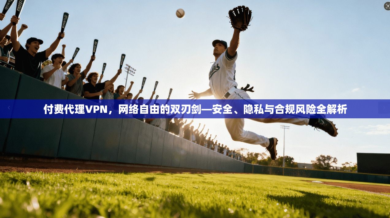 付费代理VPN，网络自由的双刃剑—安全、隐私与合规风险全解析