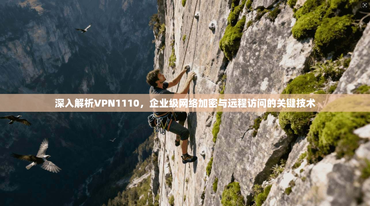 深入解析VPN1110，企业级网络加密与远程访问的关键技术