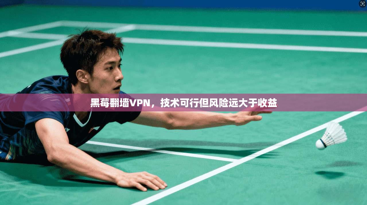 黑莓翻墙VPN,技术可行但风险远大于收益 黑莓翻墙VPN,技术可行但风险远大于收益