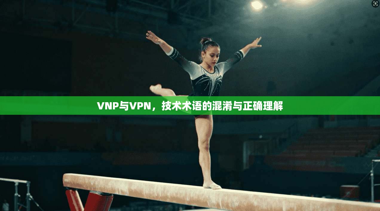 VNP与VPN,技术术语的混淆与正确理解 VNP与VPN,技术术语的混淆与正确理解