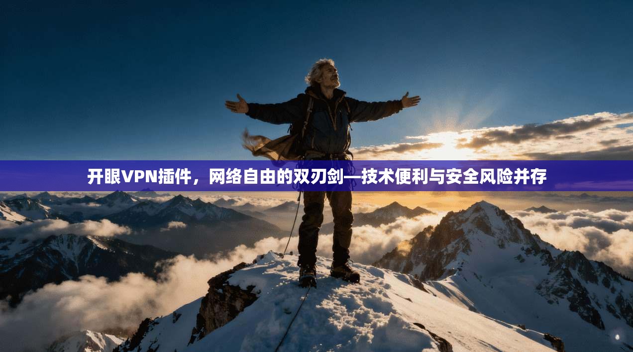开眼VPN插件，网络自由的双刃剑—技术便利与安全风险并存