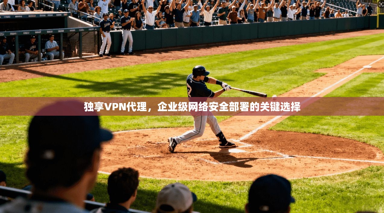 独享VPN代理，企业级网络安全部署的关键选择