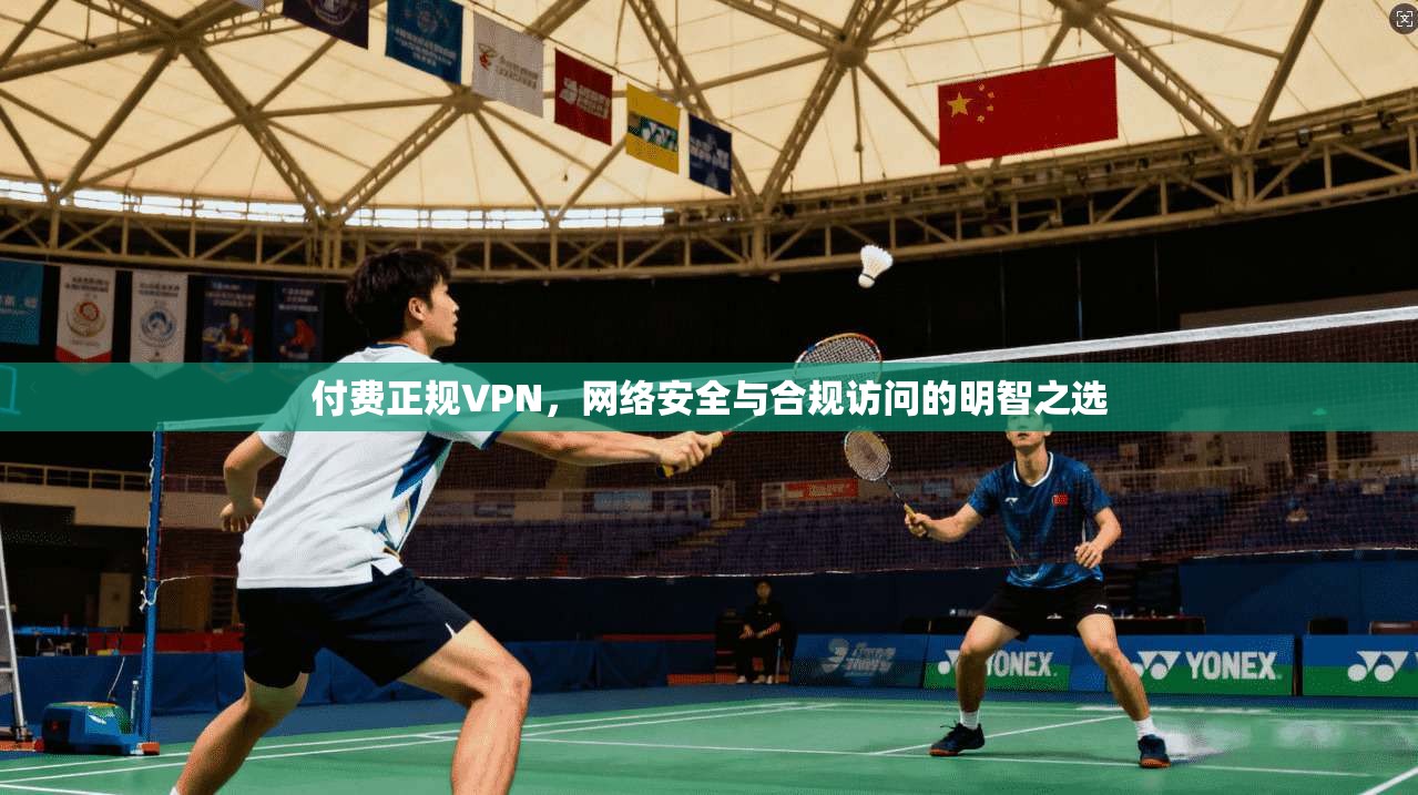 付费正规VPN，网络安全与合规访问的明智之选