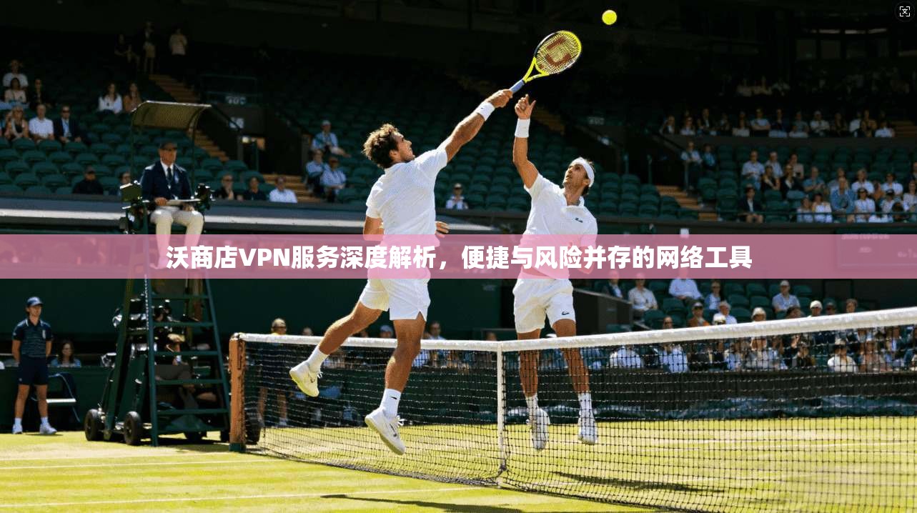 沃商店VPN服务深度解析，便捷与风险并存的网络工具