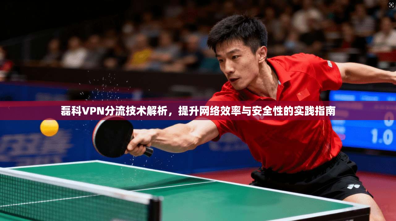 磊科VPN分流技术解析，提升网络效率与安全性的实践指南