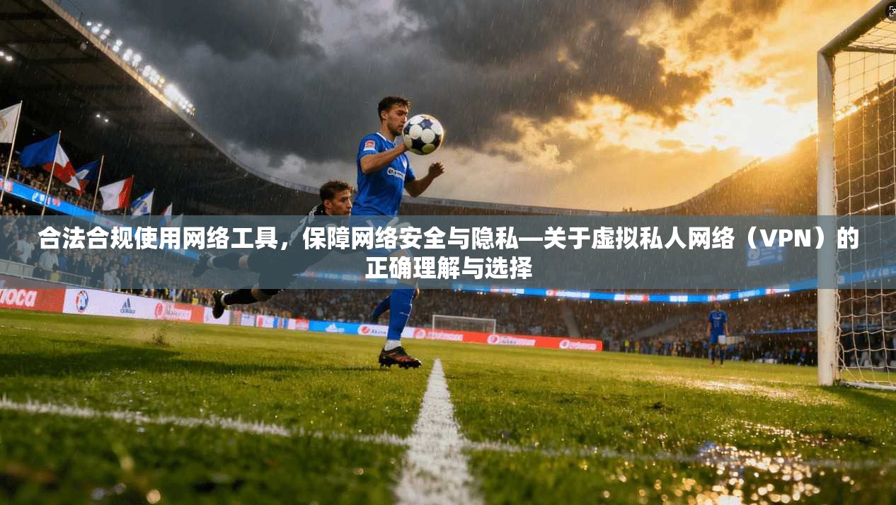 合法合规使用网络工具，保障网络安全与隐私—关于虚拟私人网络（VPN）的正确理解与选择