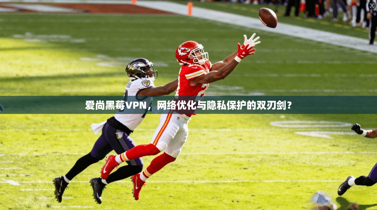 爱尚黑莓VPN，网络优化与隐私保护的双刃剑？