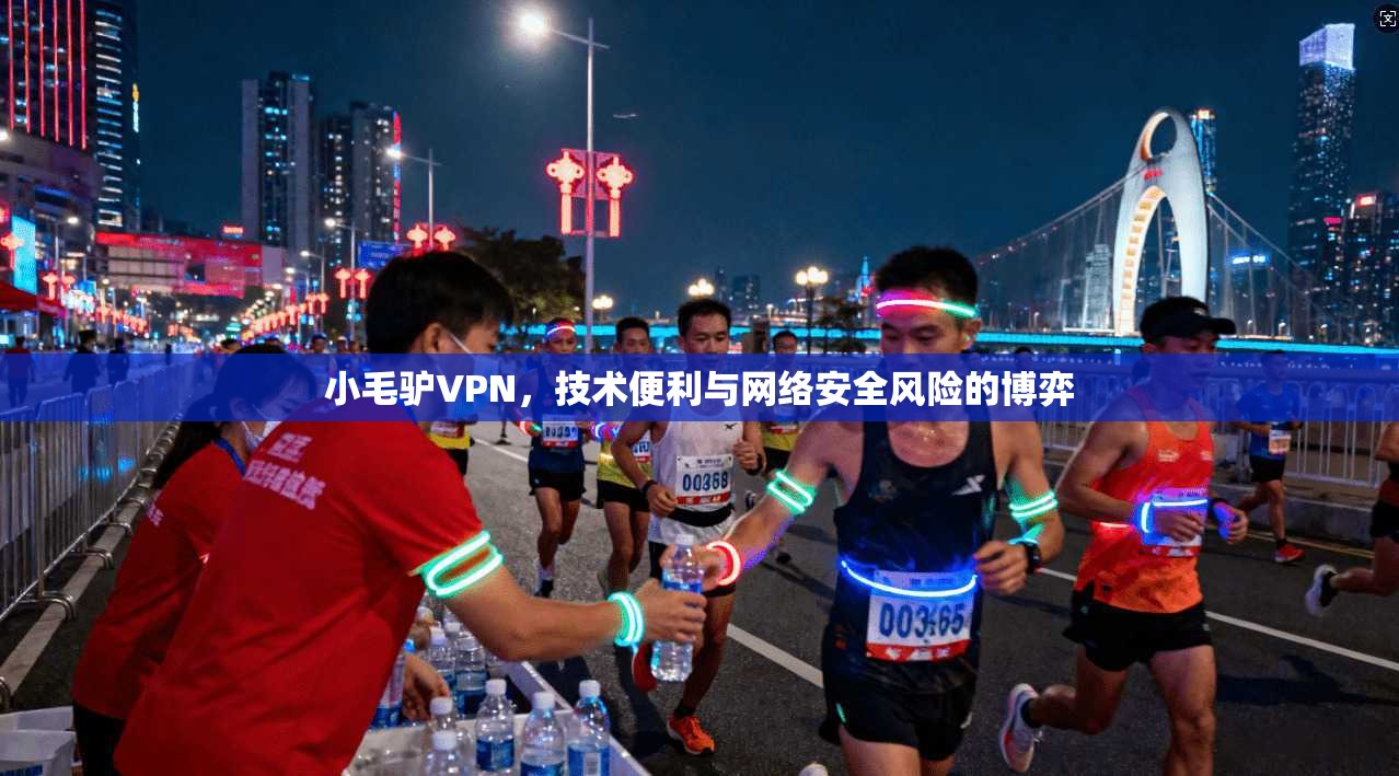 小毛驴VPN,技术便利与网络安全风险的博弈 小毛驴VPN,技术便利与网络安全风险的博弈