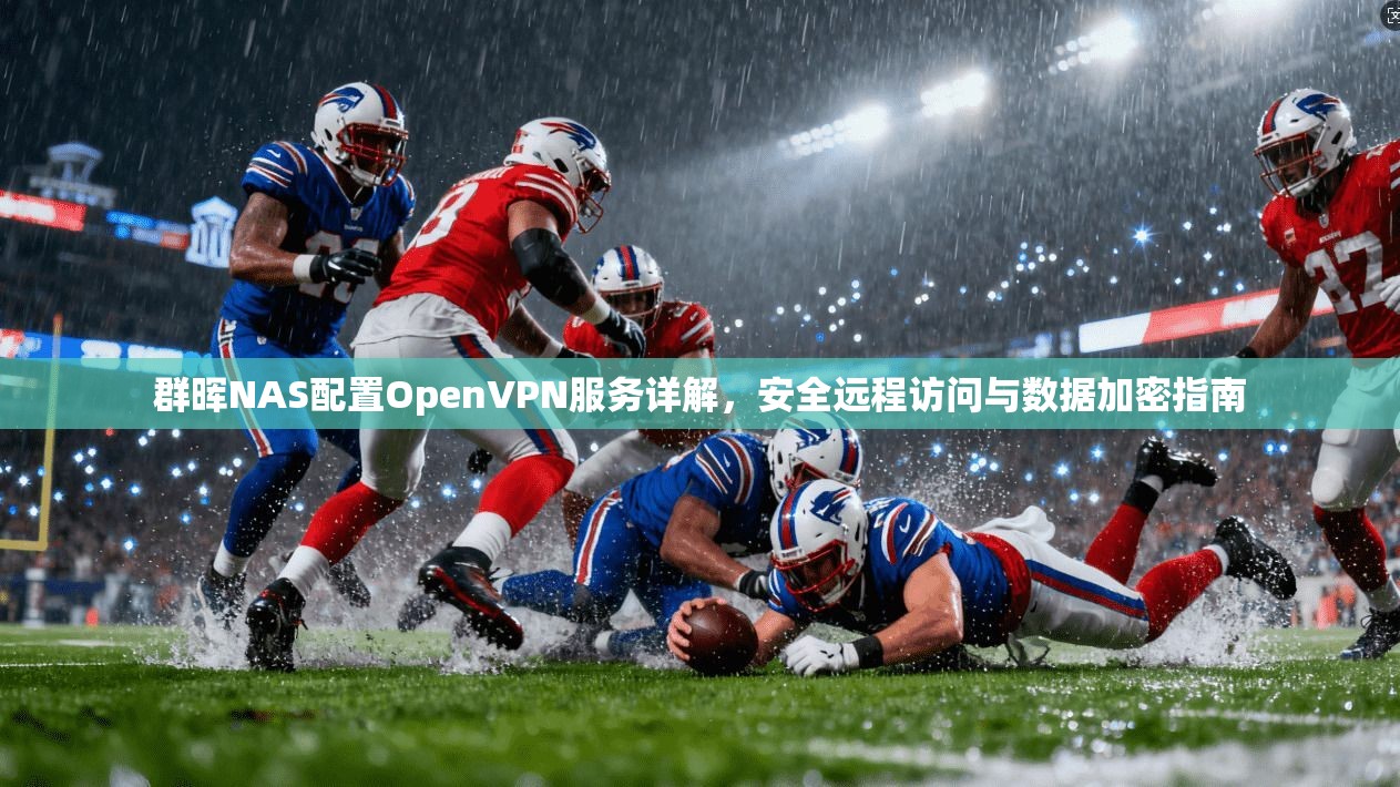 群晖NAS配置OpenVPN服务详解，安全远程访问与数据加密指南