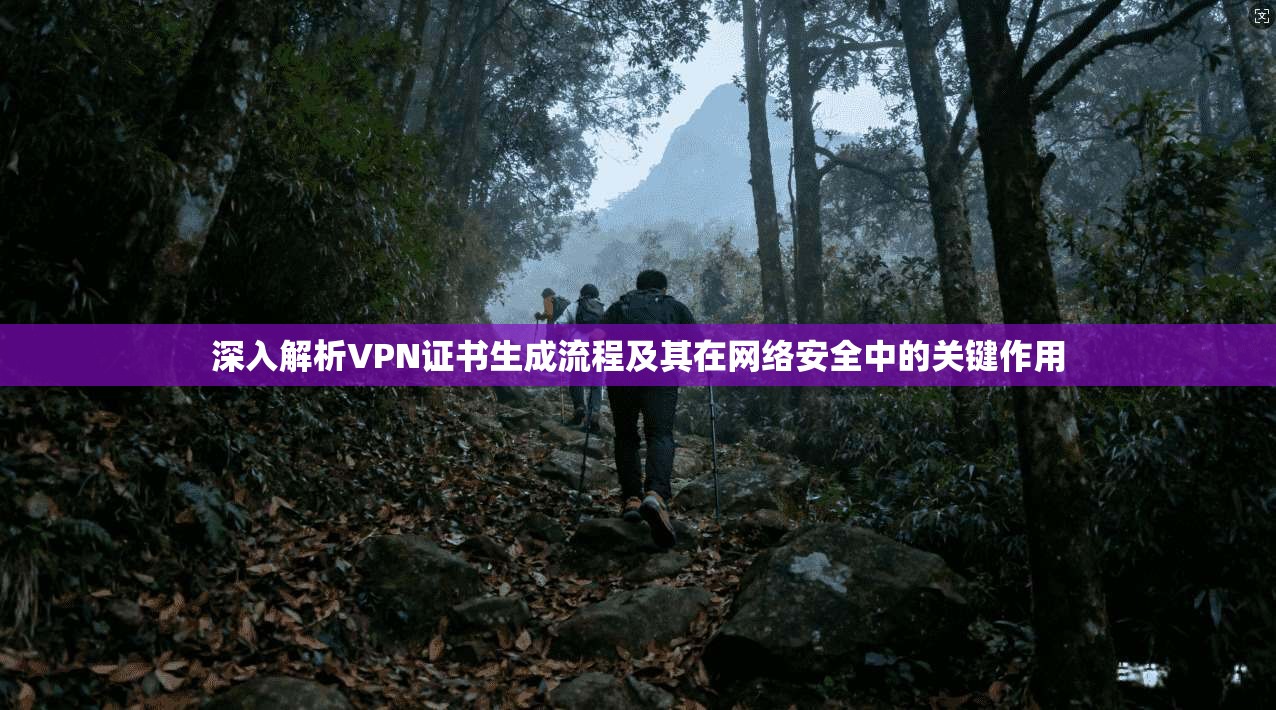 深入解析VPN证书生成流程及其在网络安全中的关键作用 深入解析VPN证书生成流程及其在网络安全中的关键作用