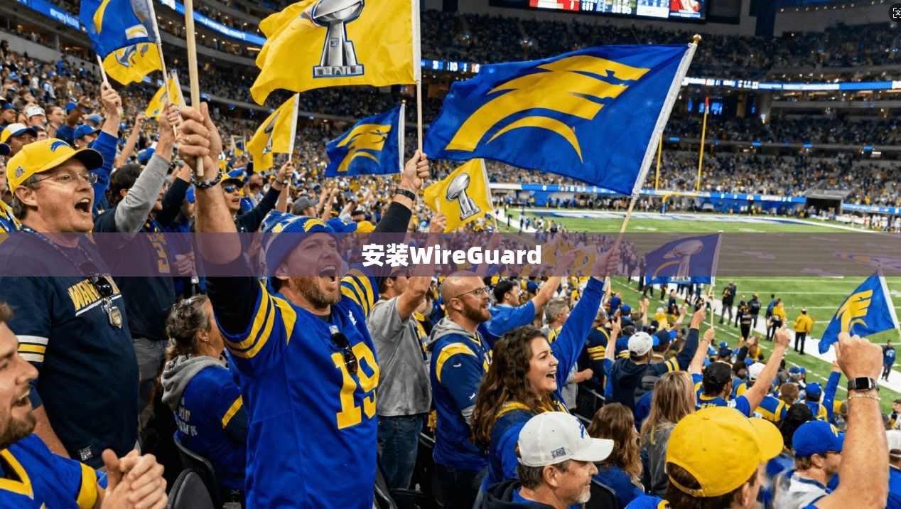 安装WireGuard 安装WireGuard