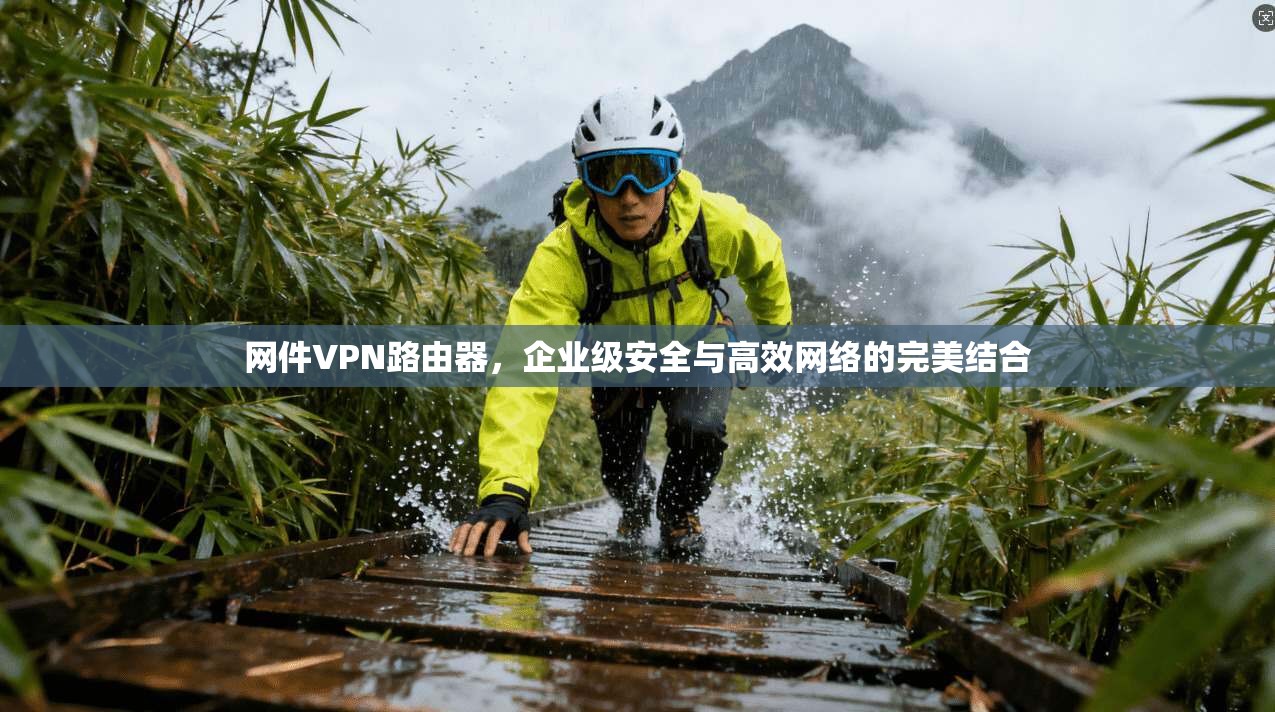 网件VPN路由器,企业级安全与高效网络的完美结合 网件VPN路由器,企业级安全与高效网络的完美结合