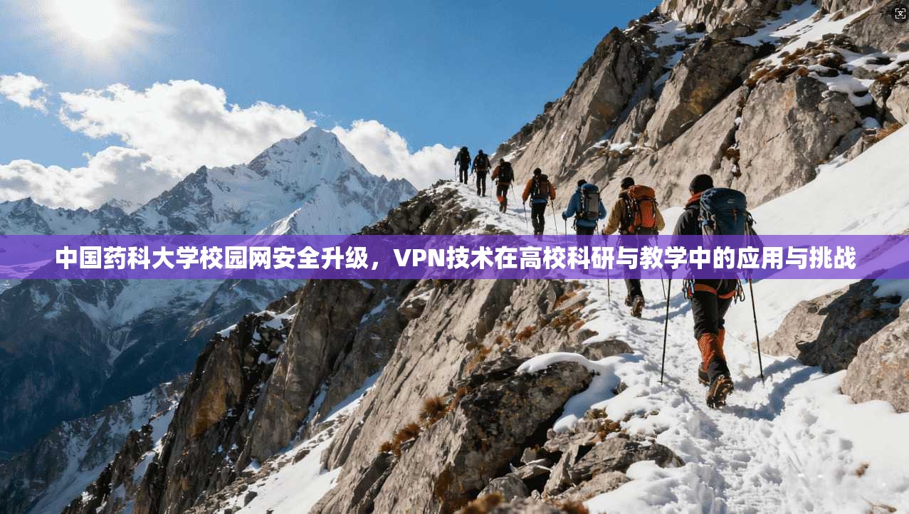 中国药科大学校园网安全升级,VPN技术在高校科研与教学中的应用与挑战 中国药科大学校园网安全升级,VPN技术在高校科研与教学中的应用与挑战