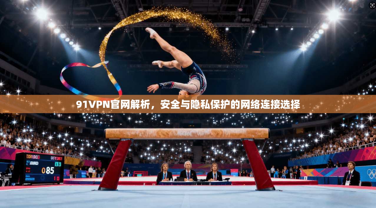 91VPN官网解析，安全与隐私保护的网络连接选择