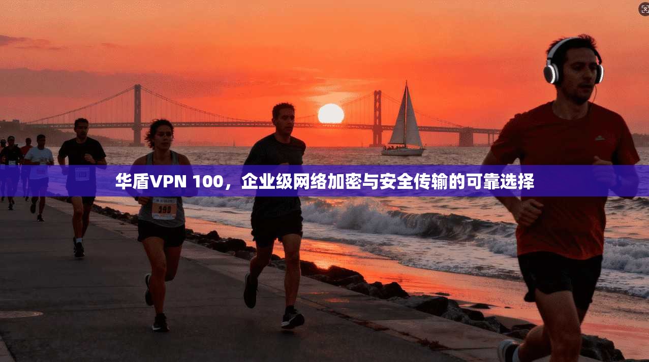 华盾VPN 100，企业级网络加密与安全传输的可靠选择