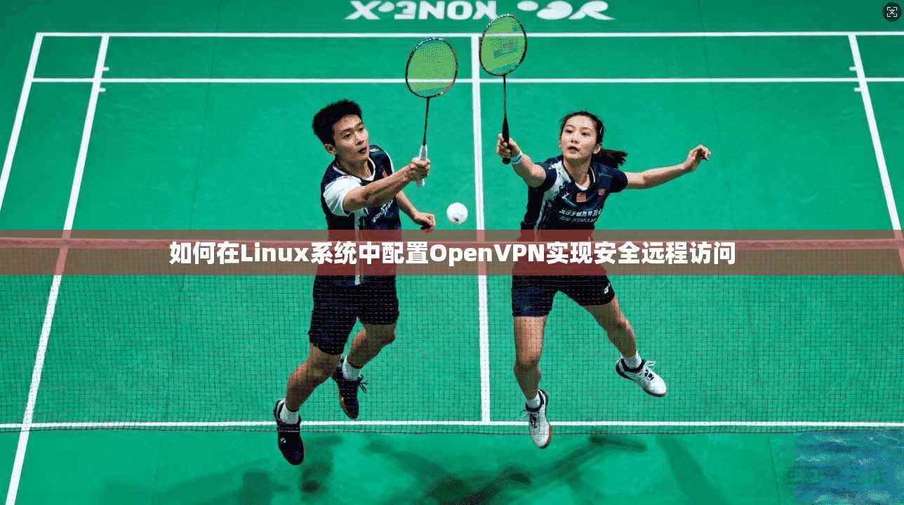 如何在Linux系统中配置OpenVPN实现安全远程访问