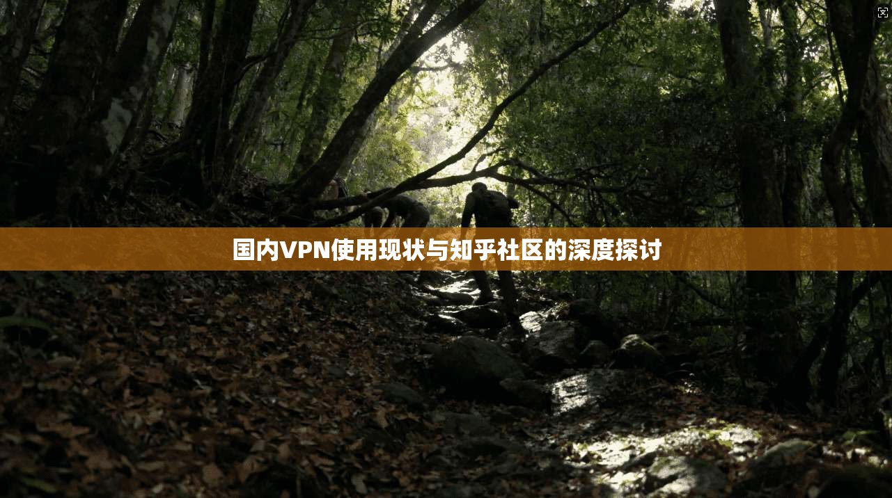 国内VPN使用现状与知乎社区的深度探讨
