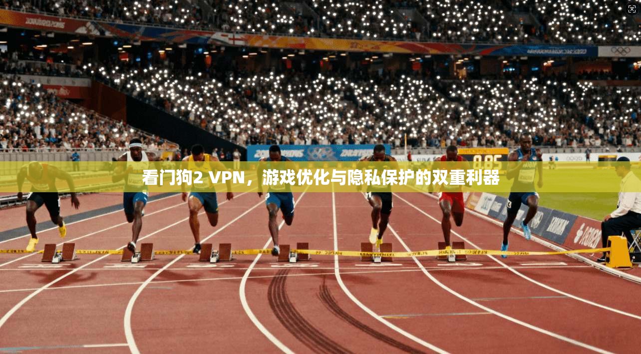 看门狗2 VPN，游戏优化与隐私保护的双重利器