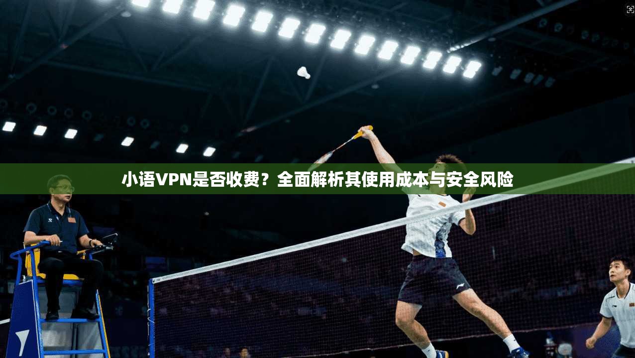 小语VPN是否收费？全面解析其使用成本与安全风险