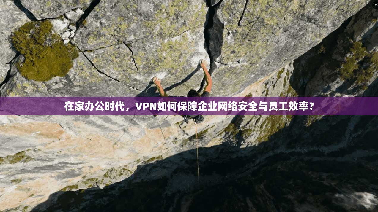 在家办公时代，VPN如何保障企业网络安全与员工效率？