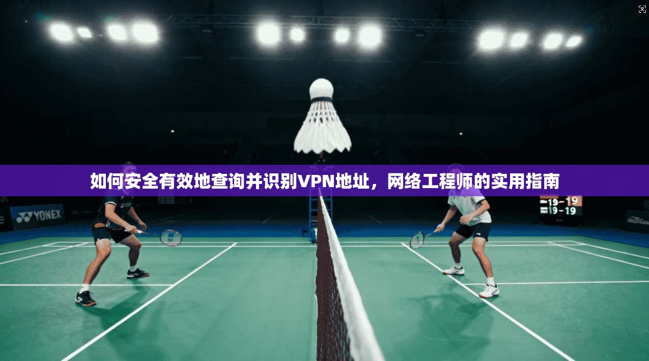 如何安全有效地查询并识别VPN地址，网络工程师的实用指南