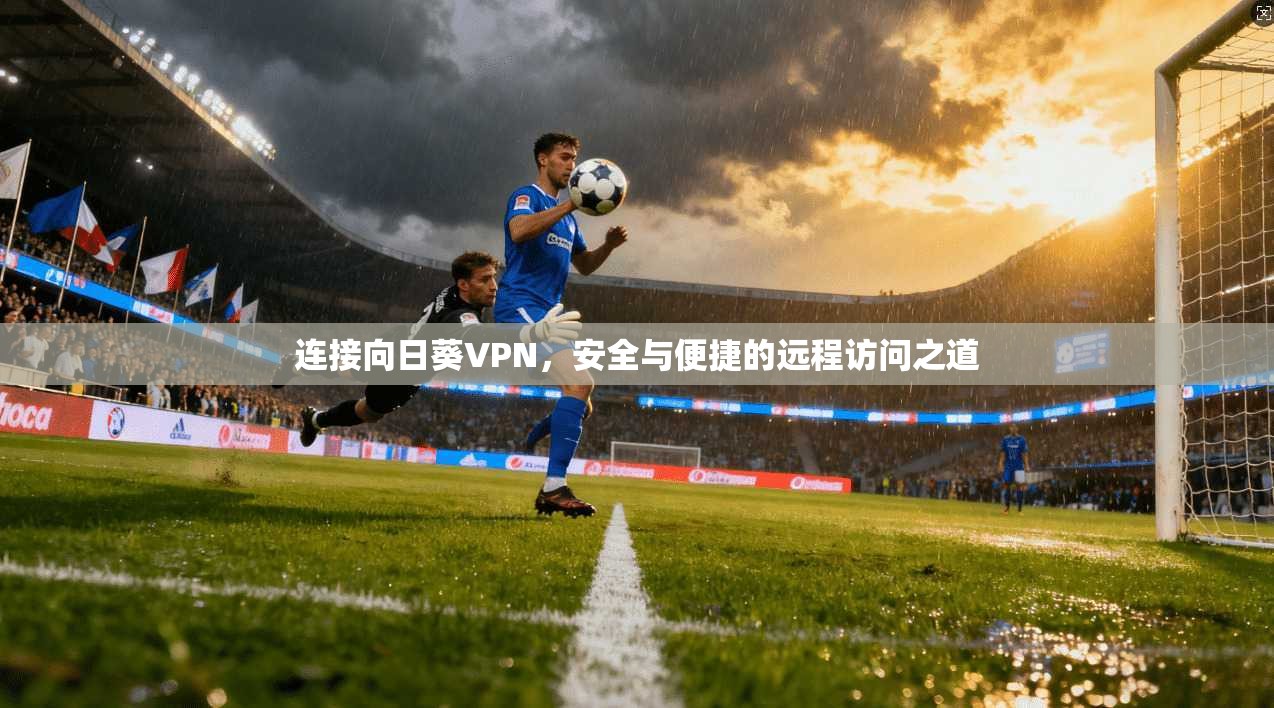 连接向日葵VPN，安全与便捷的远程访问之道