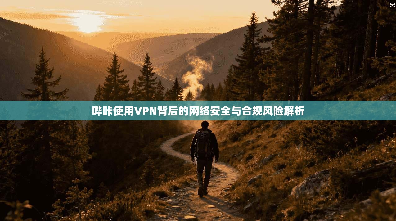 哔咔使用VPN背后的网络安全与合规风险解析 哔咔使用VPN背后的网络安全与合规风险解析