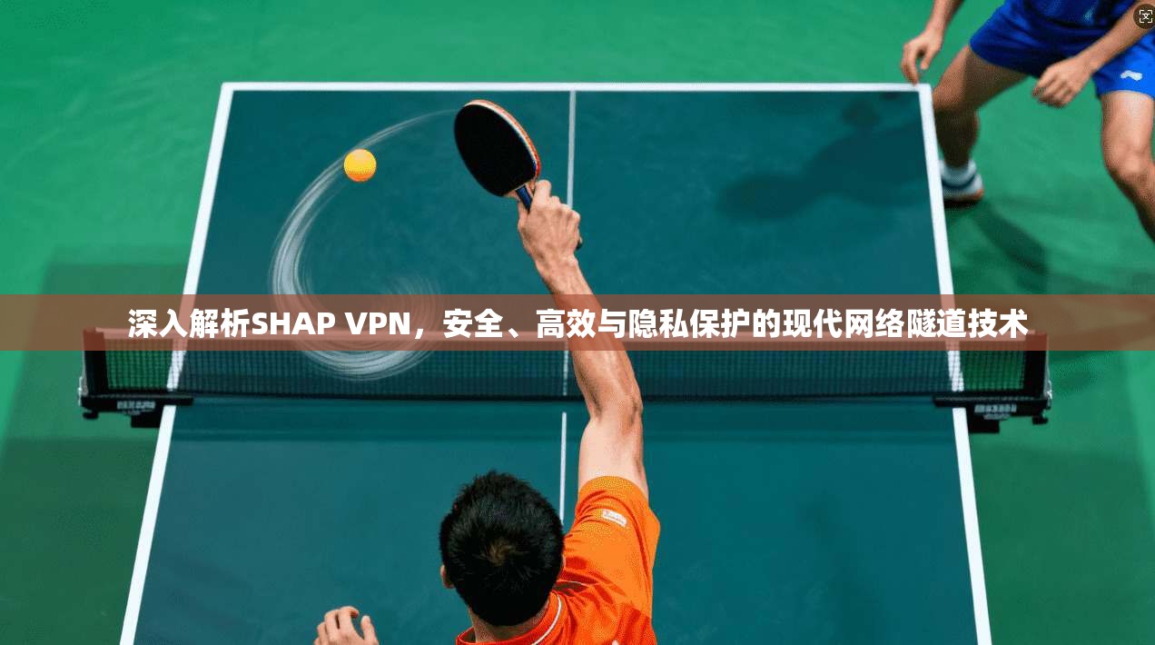 深入解析SHAP VPN,安全、高效与隐私保护的现代网络隧道技术 深入解析SHAP VPN,安全、高效与隐私保护的现代网络隧道技术