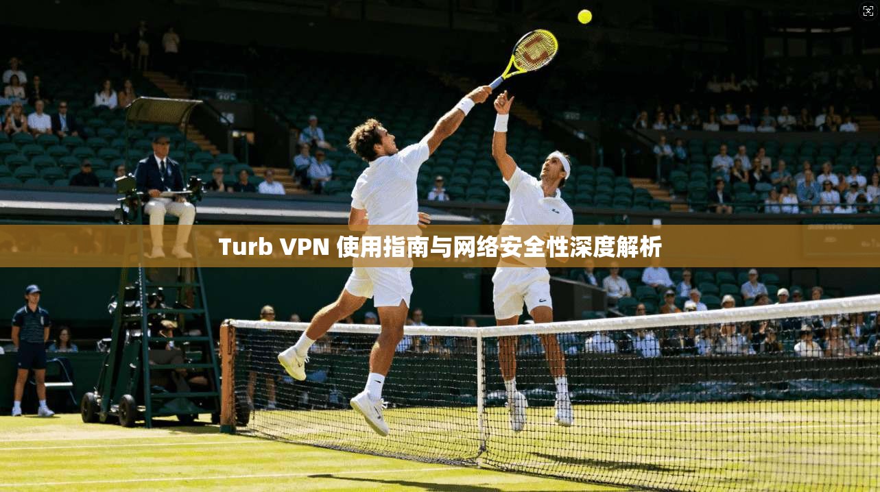 Turb VPN 使用指南与网络安全性深度解析