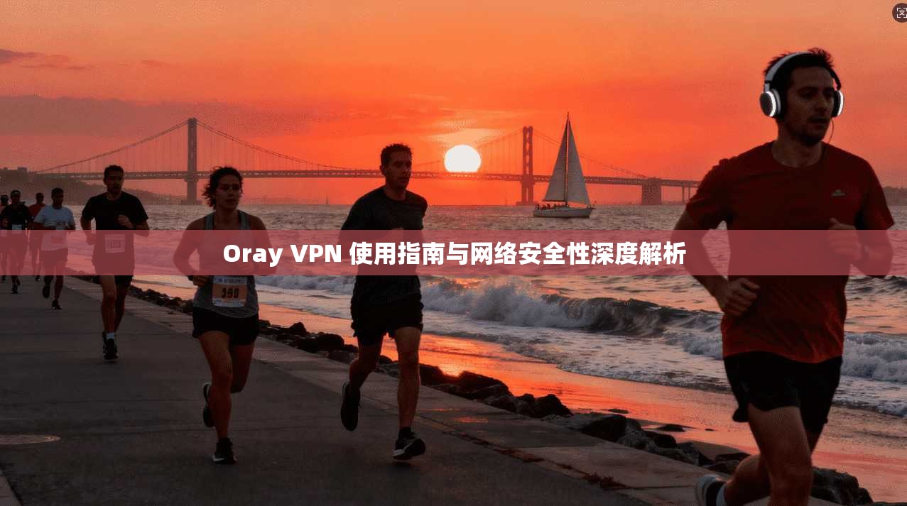 Oray VPN 使用指南与网络安全性深度解析