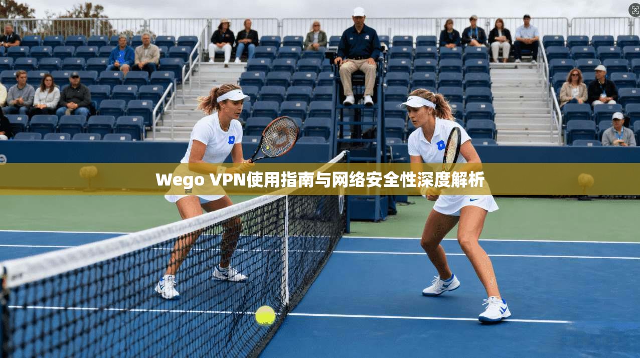 Wego VPN使用指南与网络安全性深度解析 Wego VPN使用指南与网络安全性深度解析