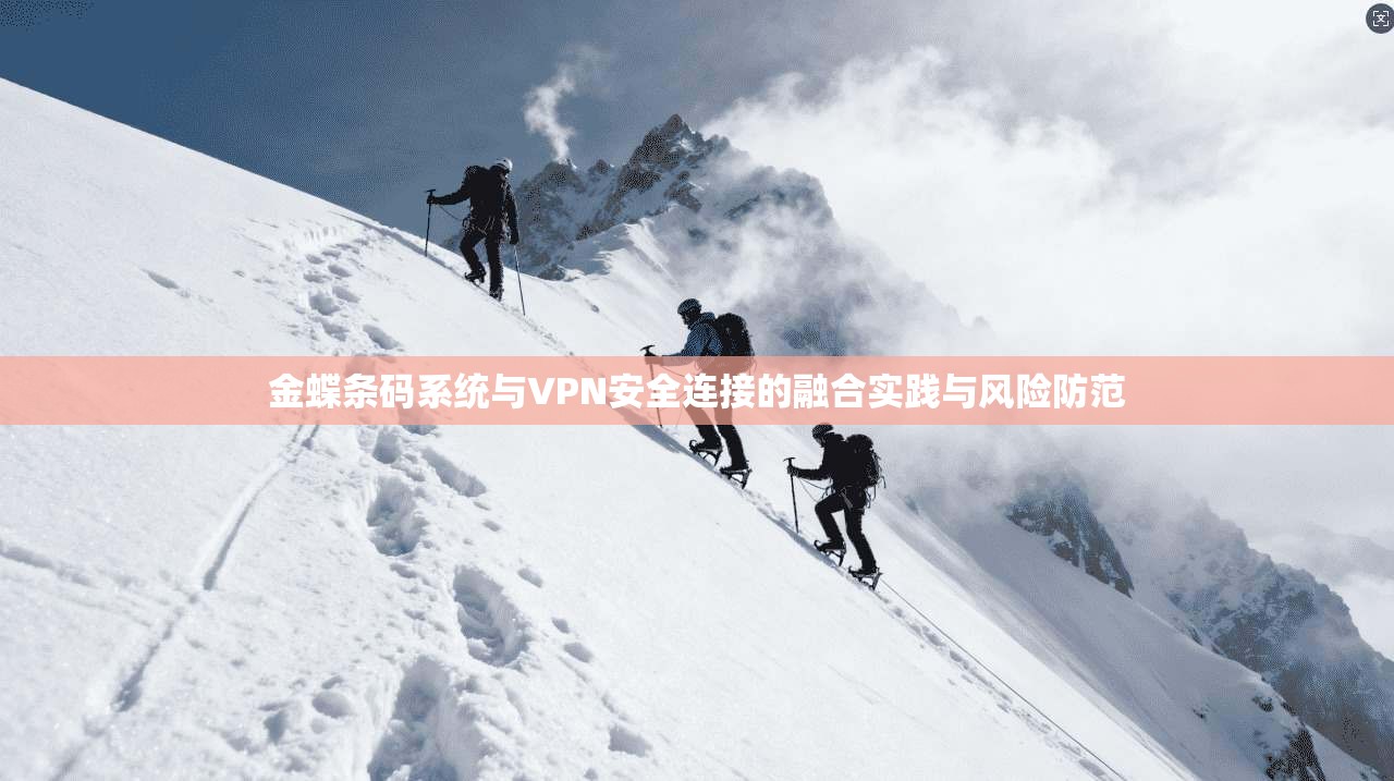 金蝶条码系统与VPN安全连接的融合实践与风险防范 金蝶条码系统与VPN安全连接的融合实践与风险防范