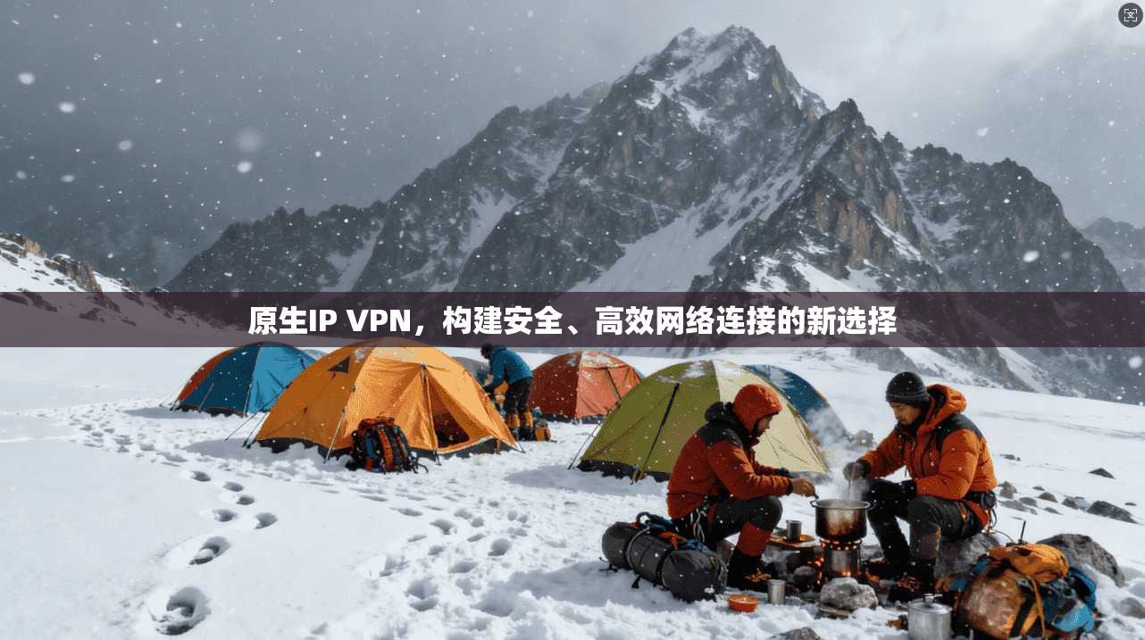 原生IP VPN，构建安全、高效网络连接的新选择