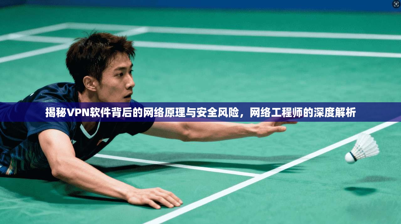 揭秘VPN软件背后的网络原理与安全风险,网络工程师的深度解析 揭秘VPN软件背后的网络原理与安全风险,网络工程师的深度解析