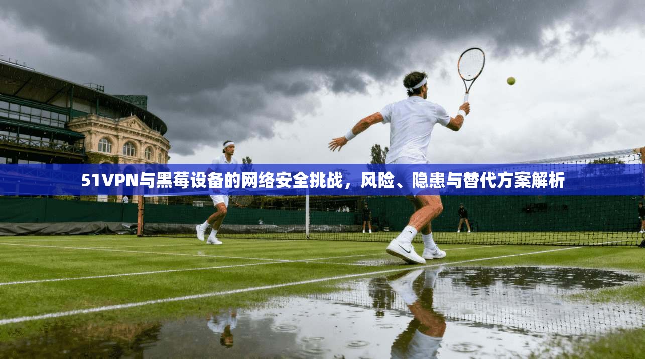 51VPN与黑莓设备的网络安全挑战,风险、隐患与替代方案解析 51VPN与黑莓设备的网络安全挑战,风险、隐患与替代方案解析