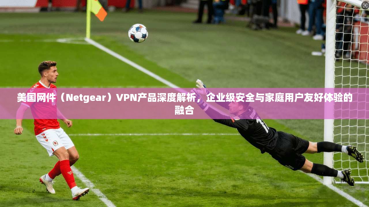 美国网件（Netgear）VPN产品深度解析，企业级安全与家庭用户友好体验的融合